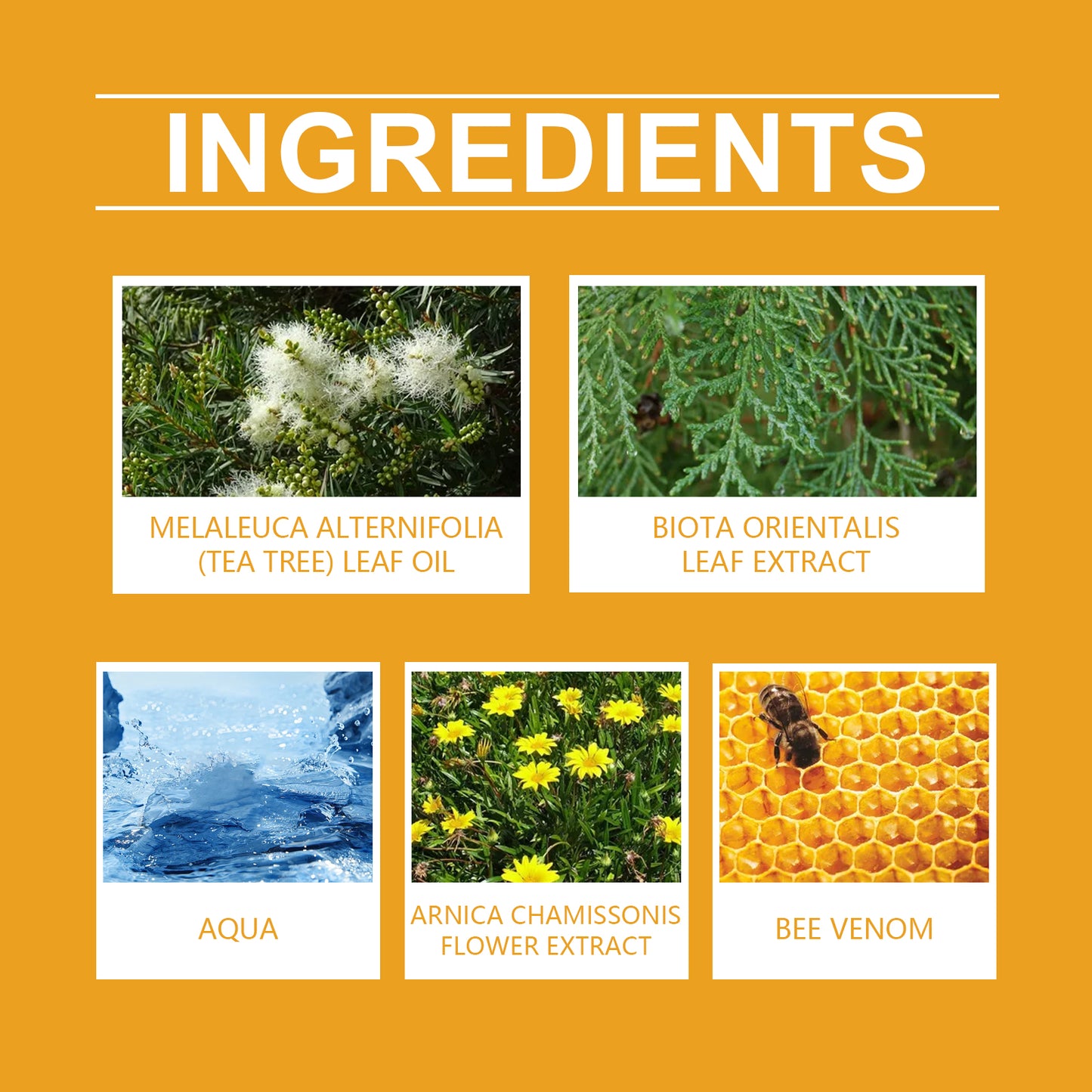 WIYUN Smoothing Skin Balm - Propolis & Arnica Formula for Rough Skin Texture, Moisturizing Cream